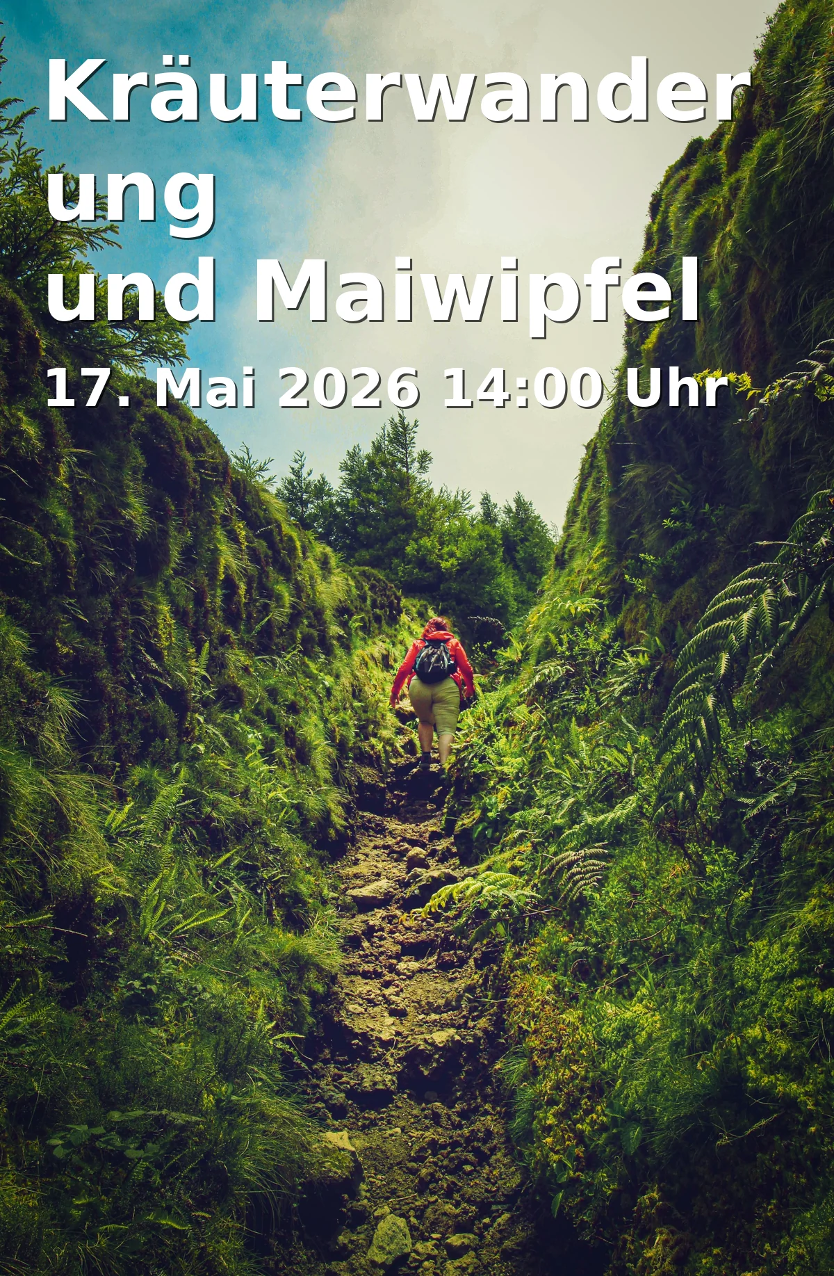 Event: Kräuterwanderung und Maiwipfel