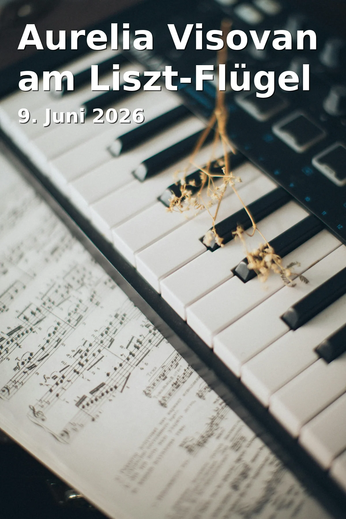 Event: Aurelia Visovan on the Liszt Piano in Steingraeber & Söhne Haus, Friedrichstraße 2, Bayreuth on 9. June 2026