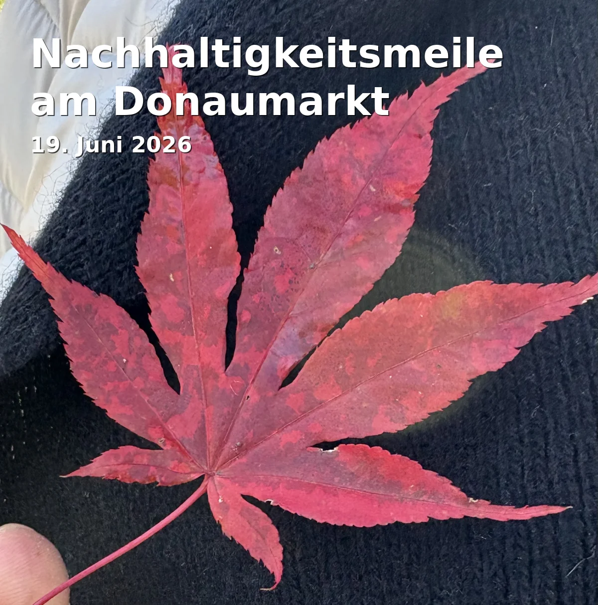 Event: Nachhaltigkeitsmeile am Donaumarkt in Donaumarkt, Regensburg on 19. Juni 2026