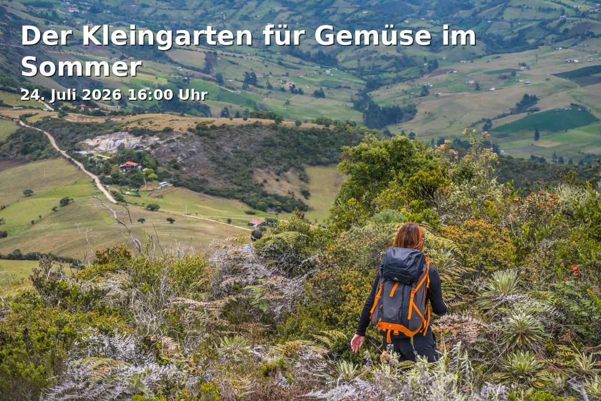 Event: The Allotment Garden for Vegetables in Summer in Am Staudengarten 9, 85354 Freising on 24. July 2026