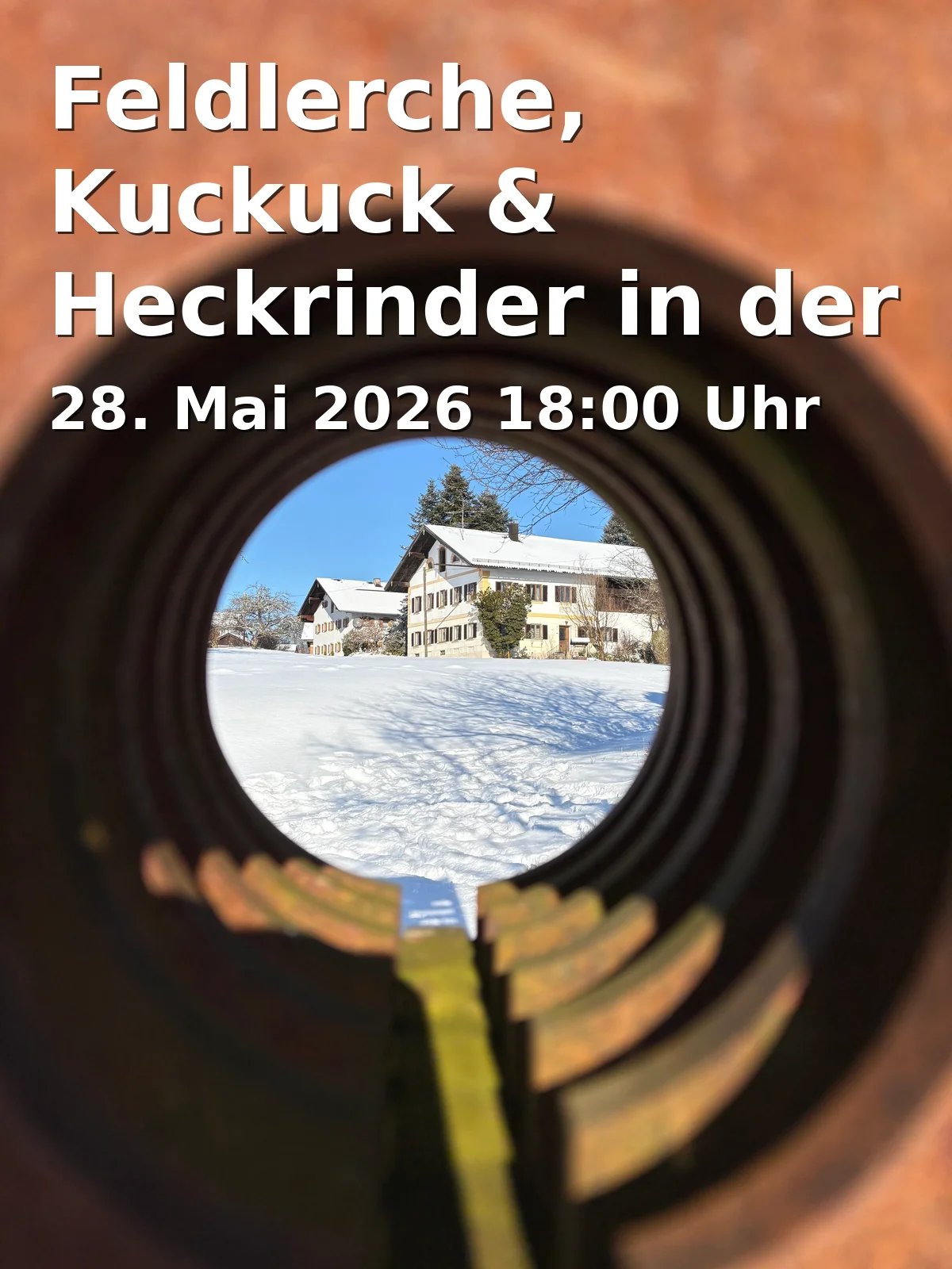 Event: Feldlerche, Kuckuck & Heckrinder in der Johannisbachaue