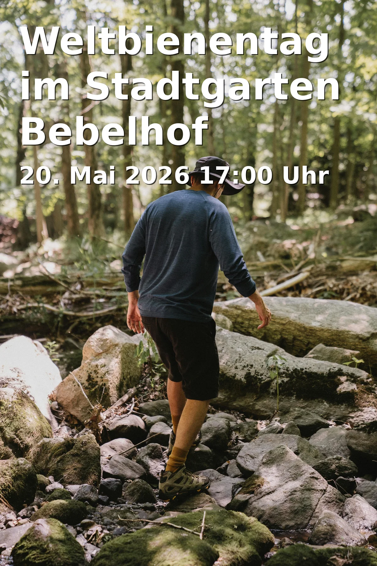 World Bee Day in the Bebelhof City Garden