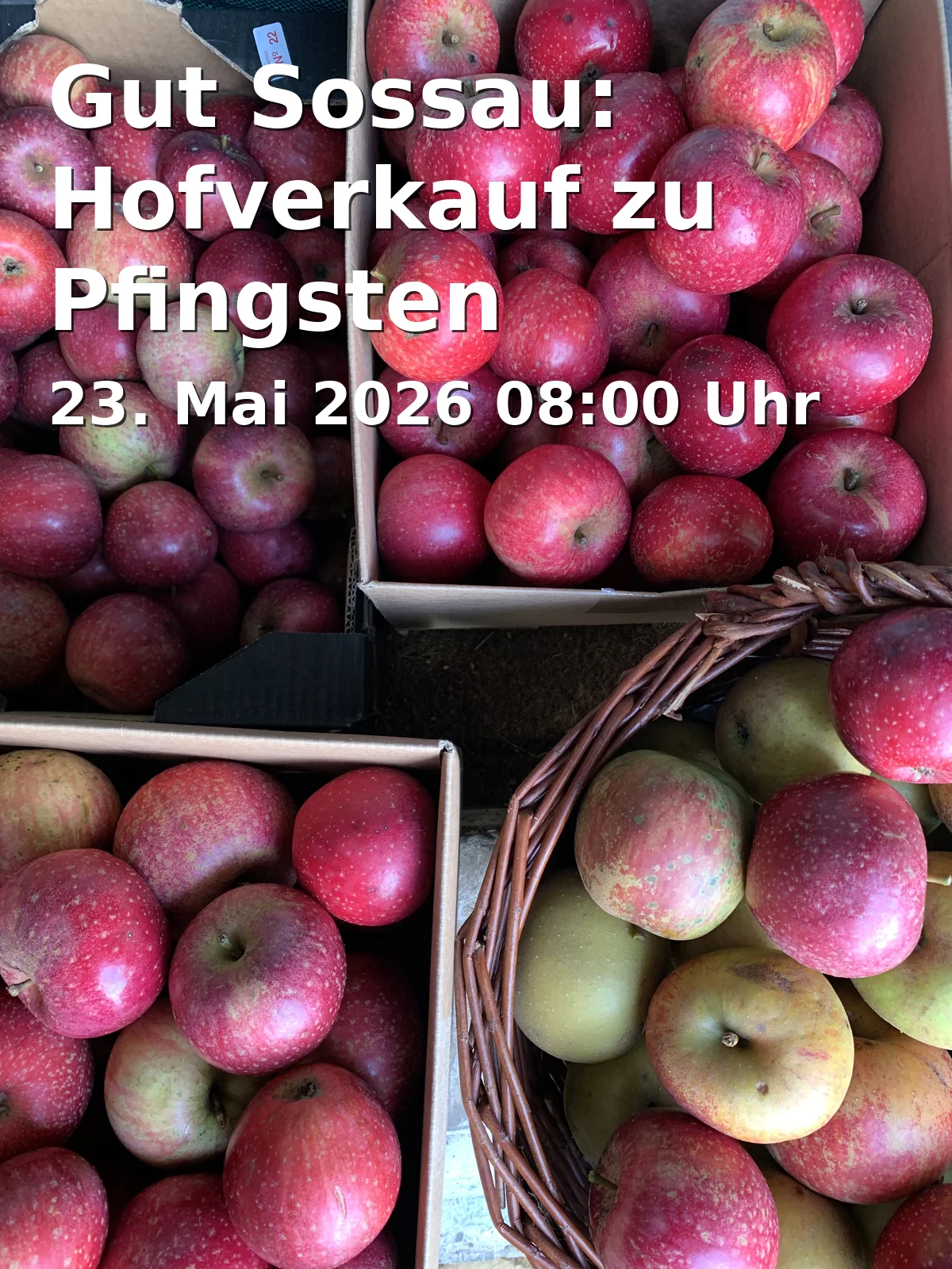 Gut Sossau: Farm Sale for Whitsun