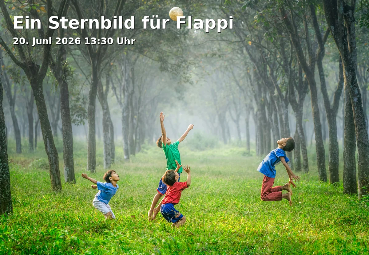 Event: A Constellation for Flappi in S-Planetarium Augsburg, Ludwigstraße 14, 86152 Augsburg on 20. June 2026