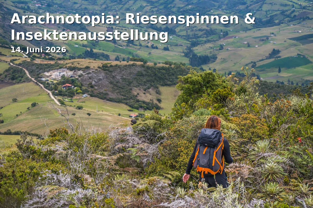 Event: Arachnotopia: Riesenspinnen & Insektenausstellung in Naturwissenschaftliches Museum Aalen, St.-Johann-Straße 5, 73430 Aalen on 14. Juni 2026