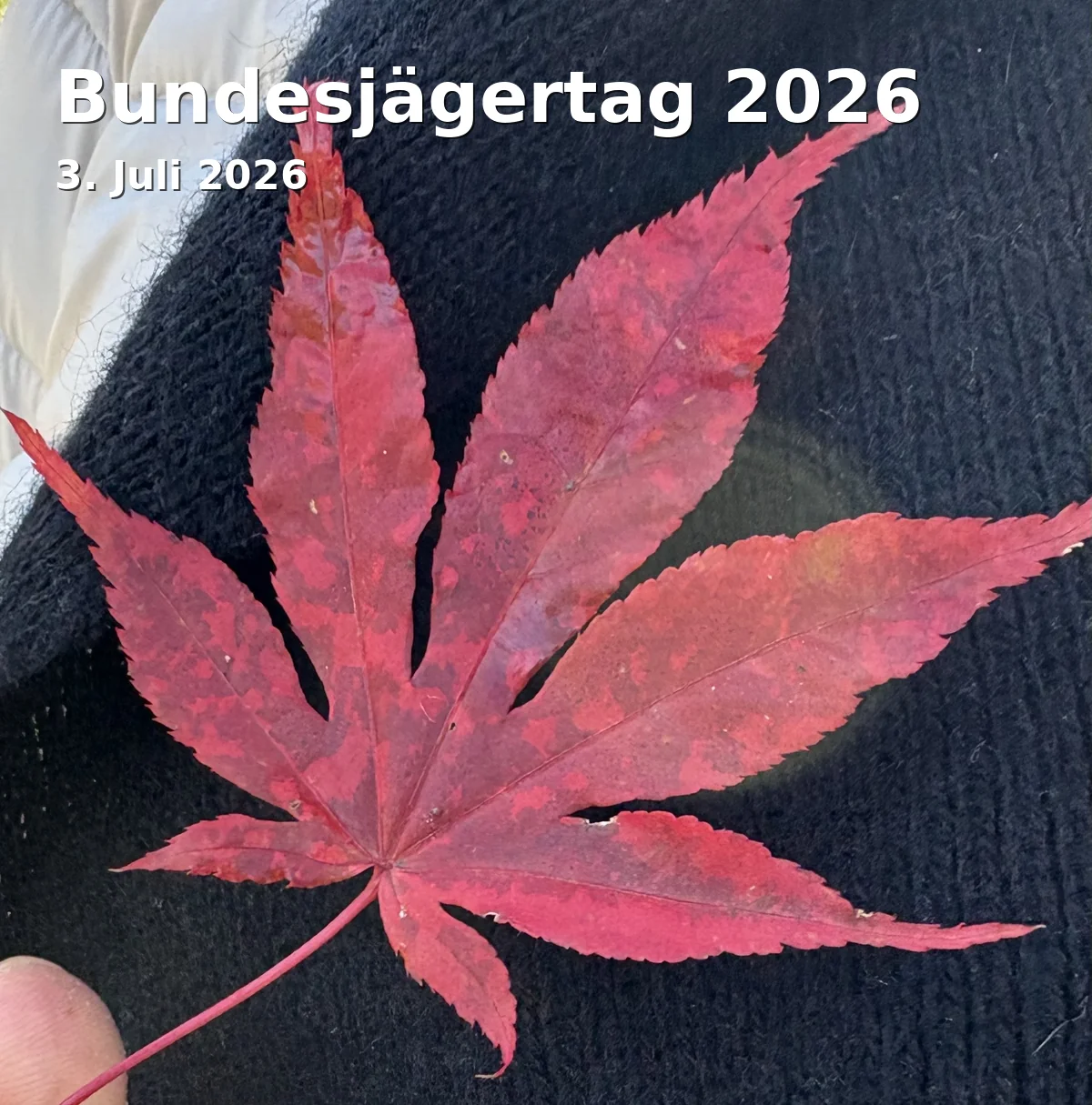 Event: Federal Hunting Day 2026 in Jagdhotel, Friedrich-König-Straße 7, 98527 Suhl on 3. July 2026