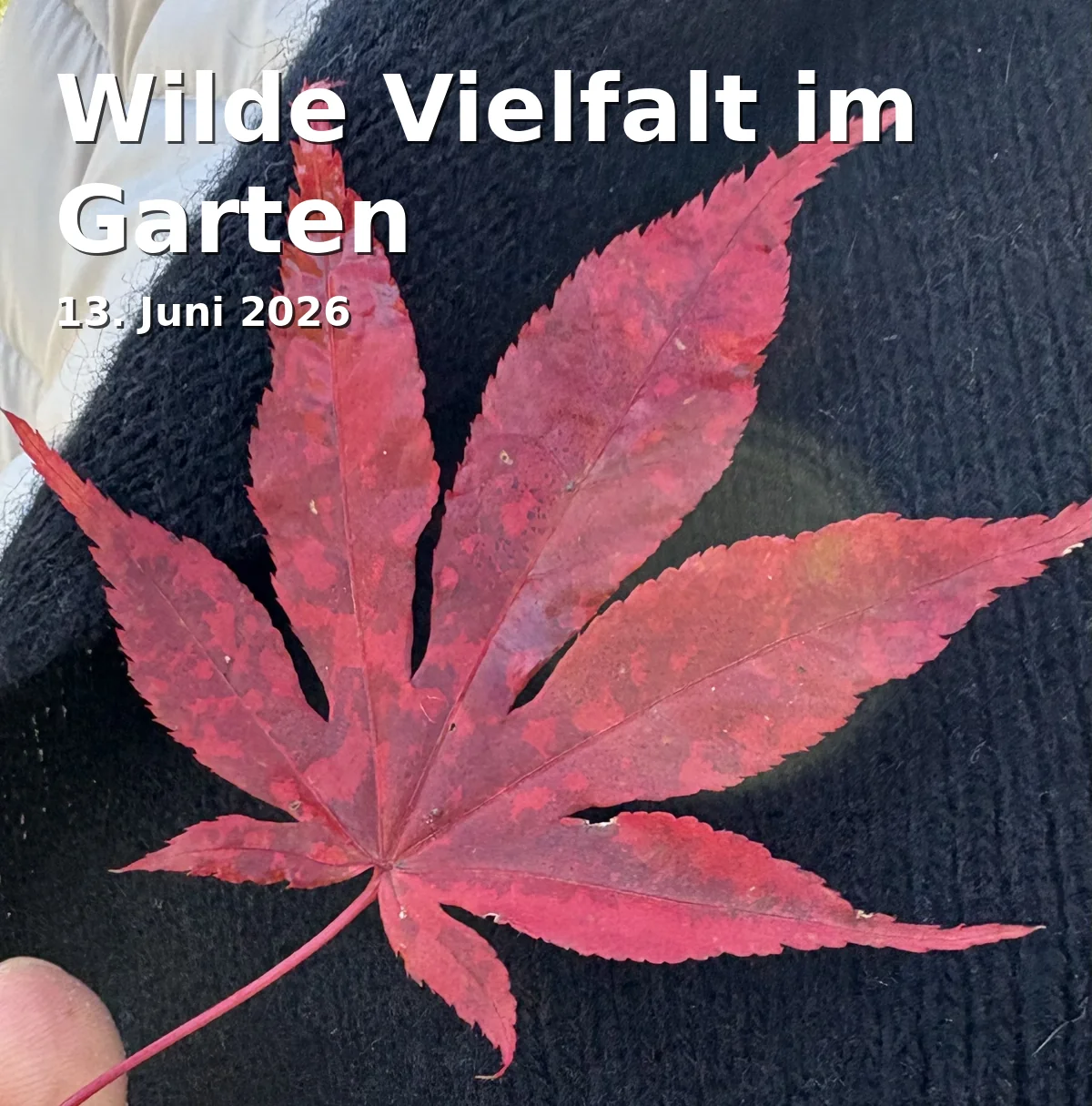 Event: Wild Diversity in the Garden in Botanischer Garten Augsburg, Dr.-Ziegenspeck-Weg 10, Augsburg on 13. June 2026
