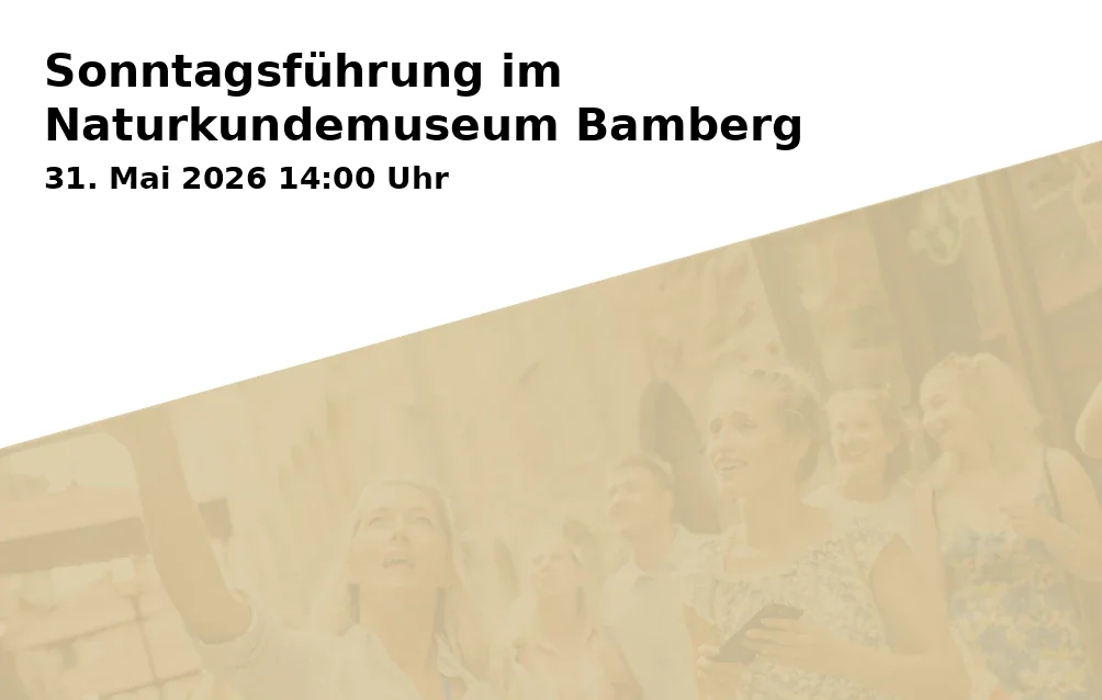 Event: Sonntagsführung im Naturkundemuseum Bamberg