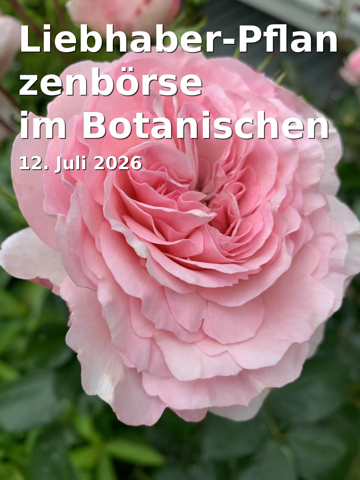 Event: Liebhaber-Pflanzenbörse im Botanischen Garten