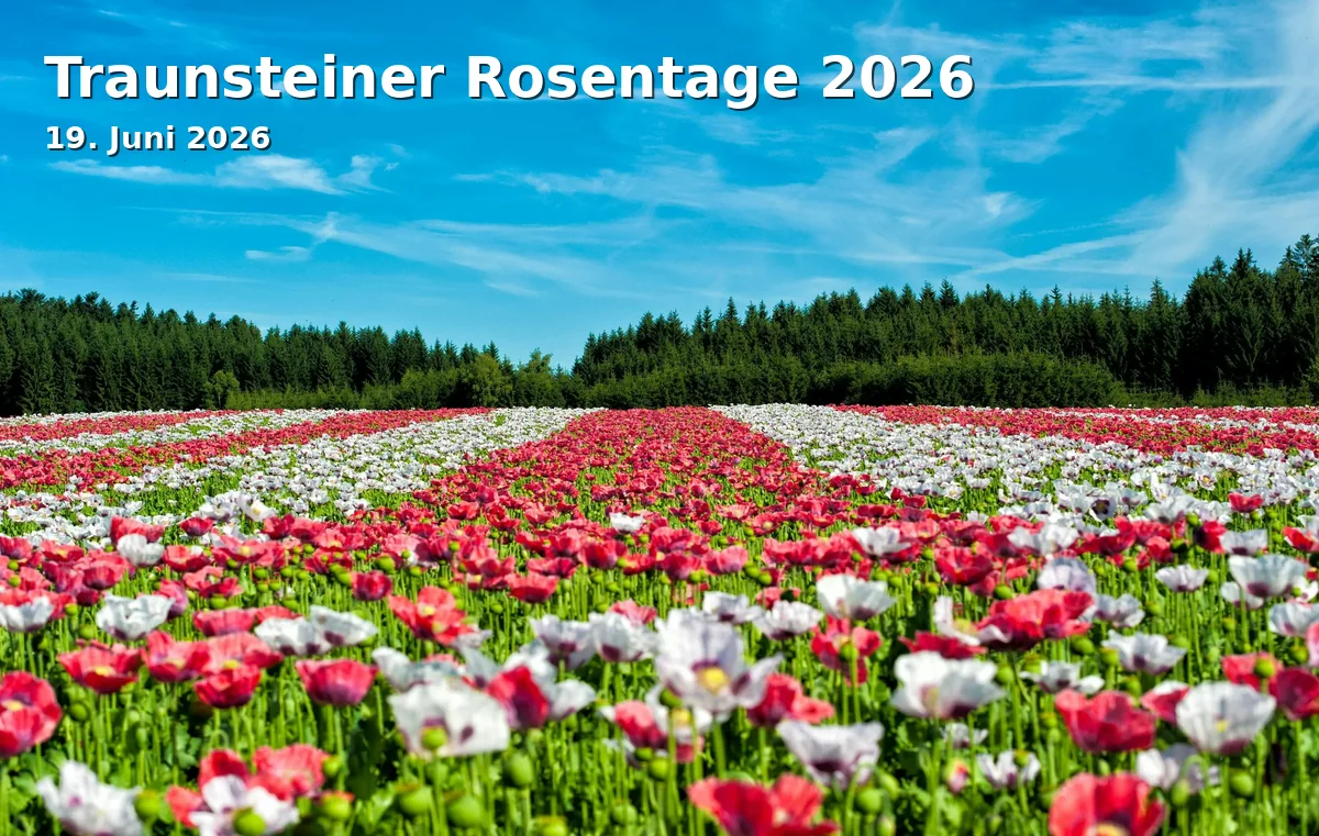 Traunsteiner Rosentage 2026