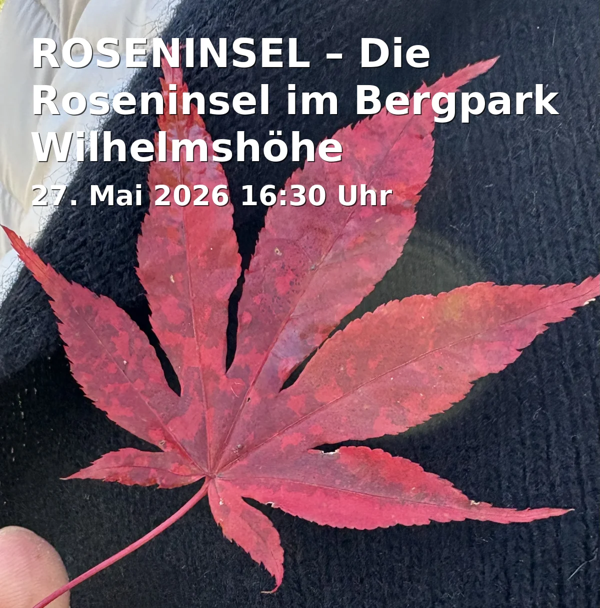 Event: ROSE ISLAND – The Rose Island in the Bergpark Wilhelmshöhe in Bergpark Wilhelmshöhe, Schlosspark 1, 34131 Kassel on 27. May 2026