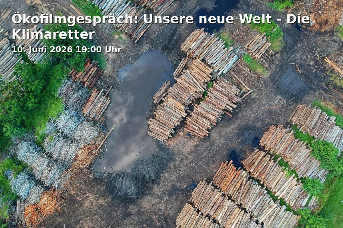 Event: Eco Film Talk: Our New World - The Climate Rescuers in Breite Straße 1a, 14467 Potsdam on 10. June 2026