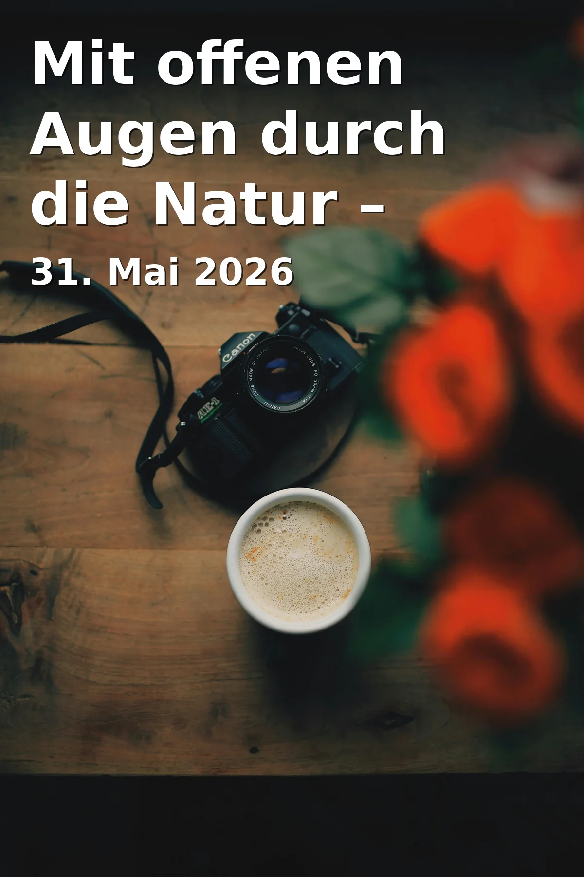 With Open Eyes Through Nature – Wildlife Photography by Dr. Astrid Schirner