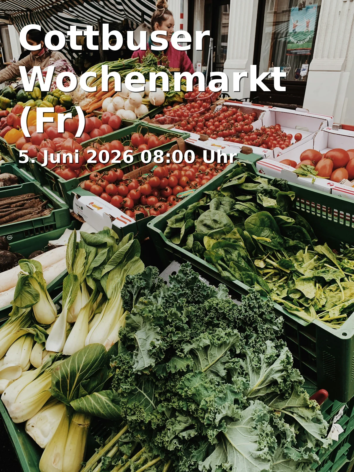 Event: Cottbuser Wochenmarkt (Fr) in Stadthallenvorplatz, Berliner Straße 6, 03046 Cottbus on 5. Juni 2026