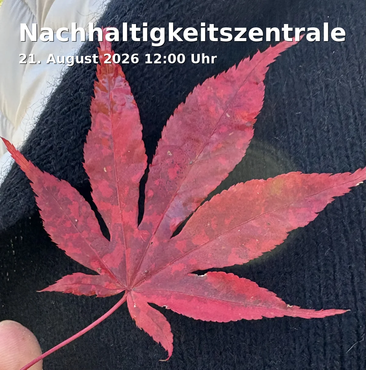 Event: Nachhaltigkeitszentrale