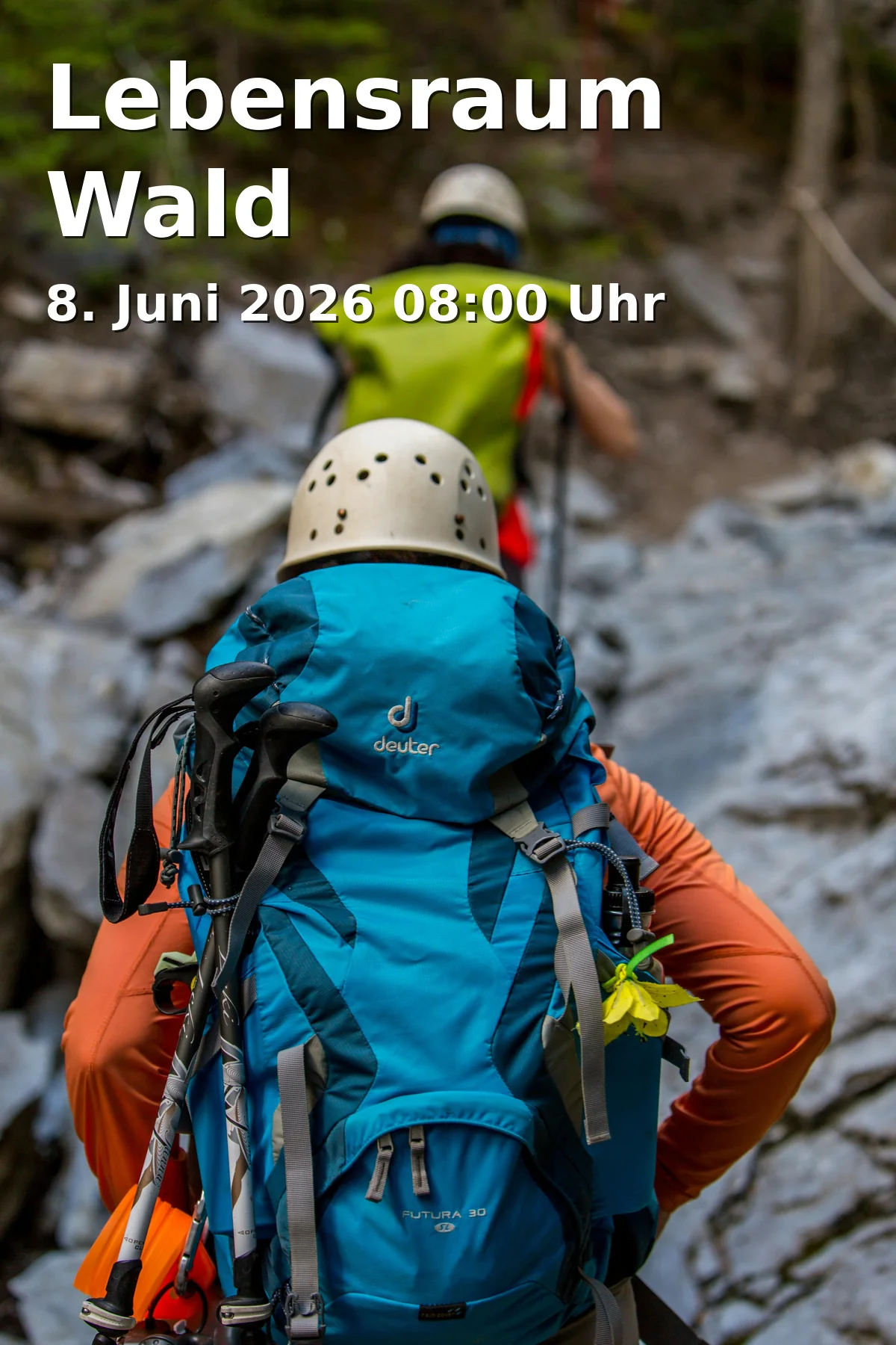 Event: Lebensraum Wald in Bürgertreff Röthelheim - Fenstergalerie, Berliner Platz 1, 91052 Erlangen on 8. Juni 2026