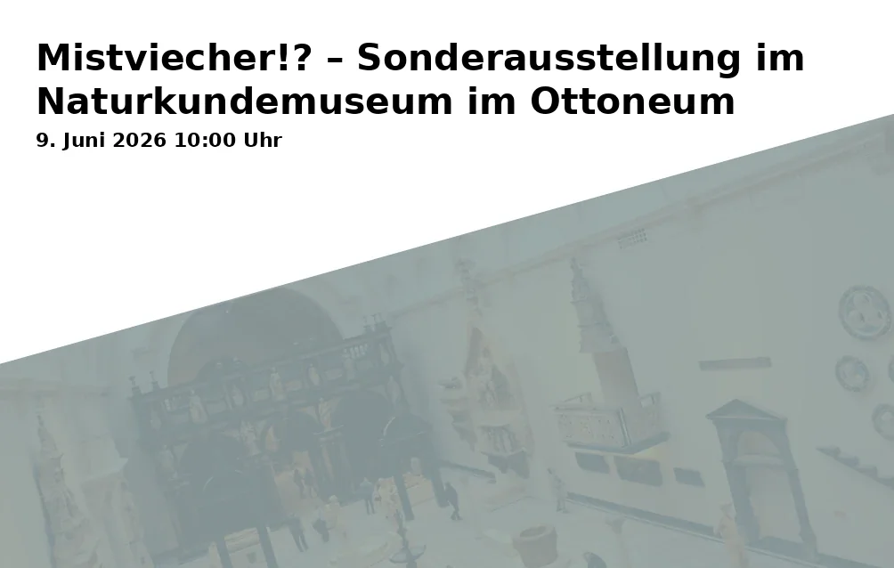Mud Creatures!? – Special Exhibition at the Natural History Museum in Ottoneum