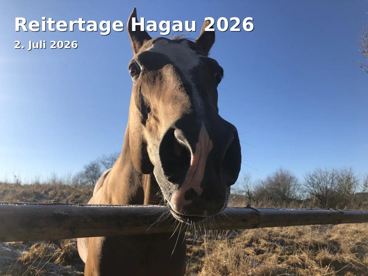 Event: Hagau Equestrian Days 2026 in Reitstadion PSV St. Georg Ingolstadt-Hagau, 85055 Ingolstadt on 2. July 2026
