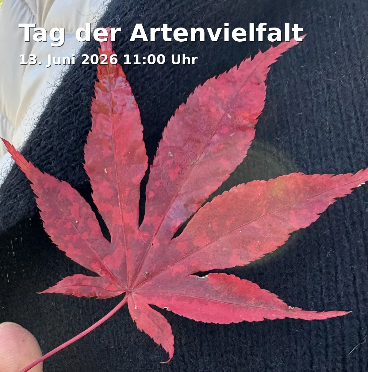 Day of Biodiversity