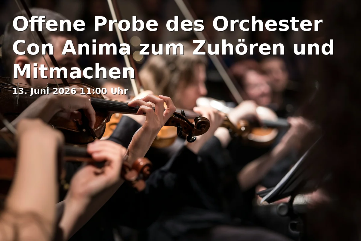 Open rehearsal of the Orchester Con Anima for listening and participation
