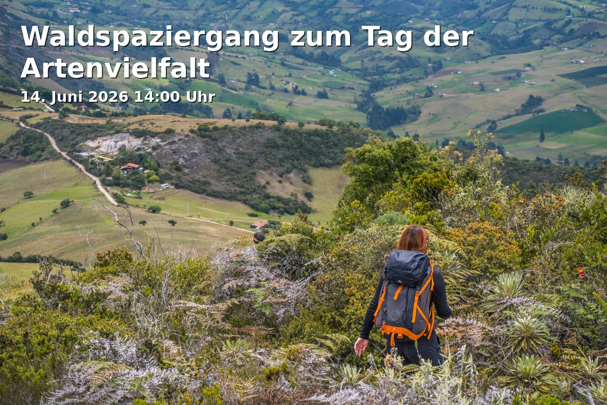 Event: Forest Walk for Biodiversity Day in WaldHaus Freiburg, Wonnhaldestraße 6, 79100 Freiburg on 14. June 2026
