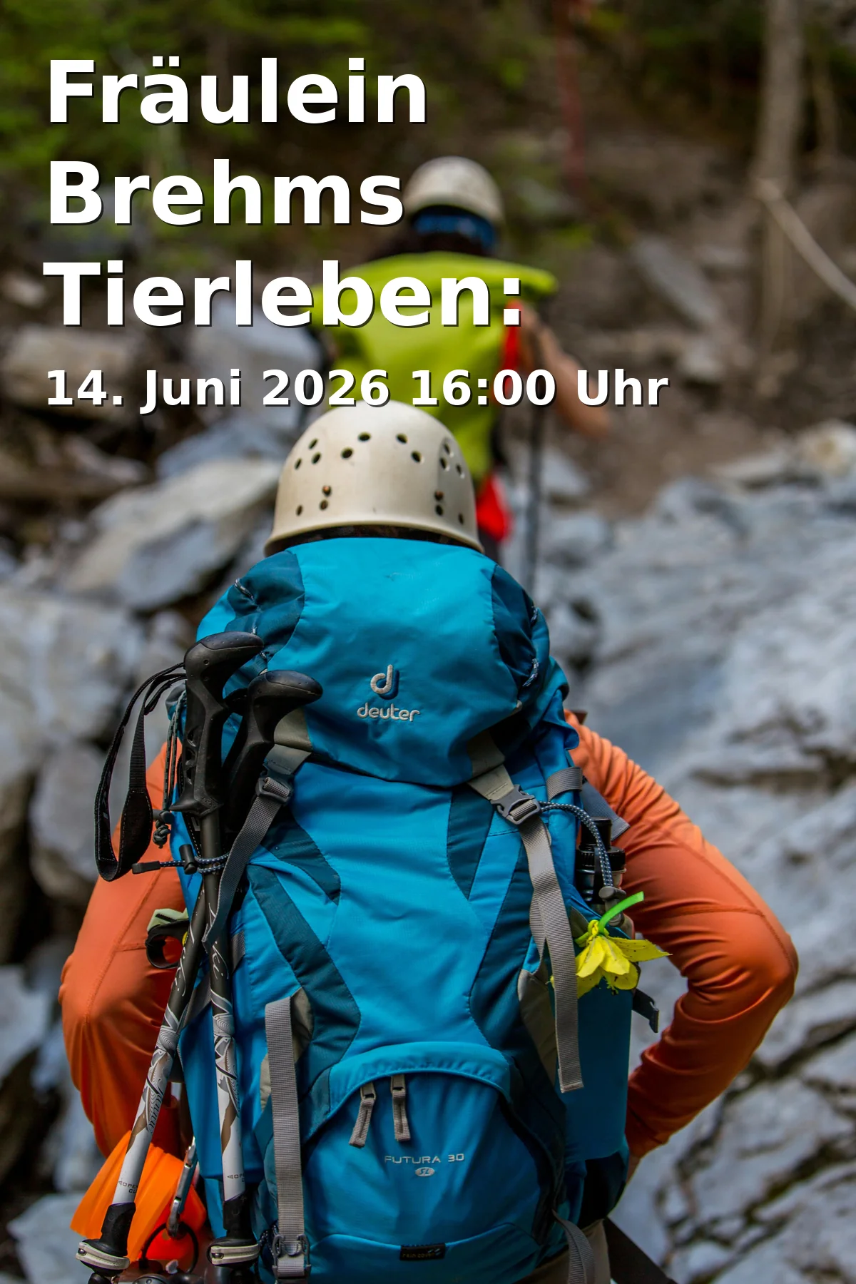 Event: Miss Brehm's Animal Life: Hymenoptera - the Wild Bees in WaldHaus Freiburg, Wonnhaldestraße 6, 79100 Freiburg im Breisgau on 14. June 2026