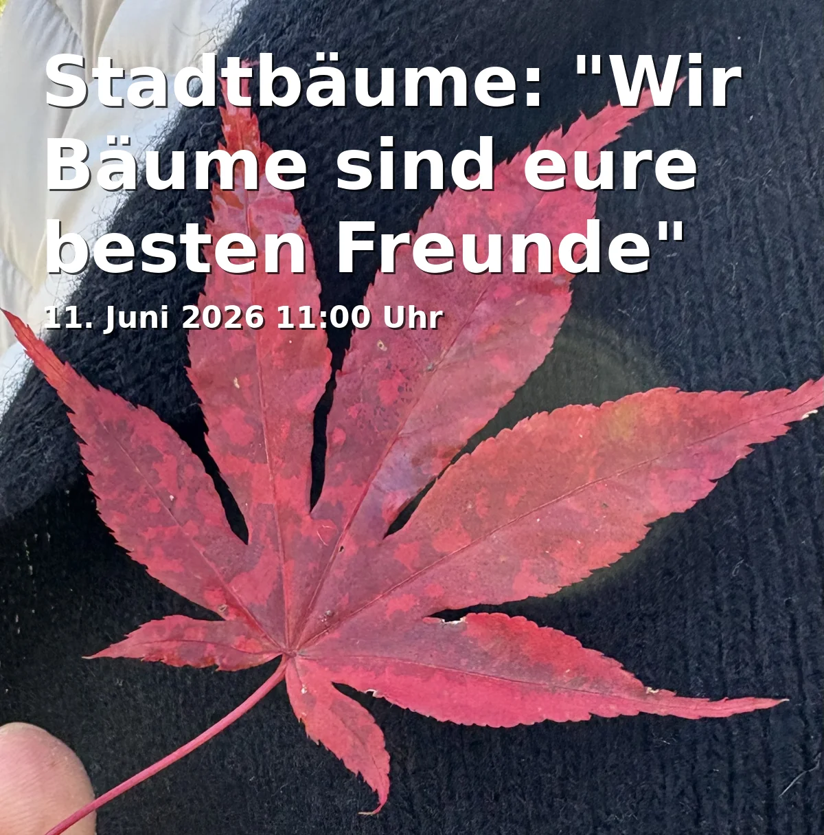 Event: Stadtbäume: "Wir Bäume sind eure besten Freunde" in Rathaus - Kleine Rathausgalerie, Altstadt 315, 84028 Landshut on 11. Juni 2026