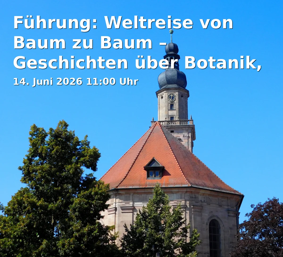 Tour: Journey from Tree to Tree – Stories about Botany, Culture, and Use