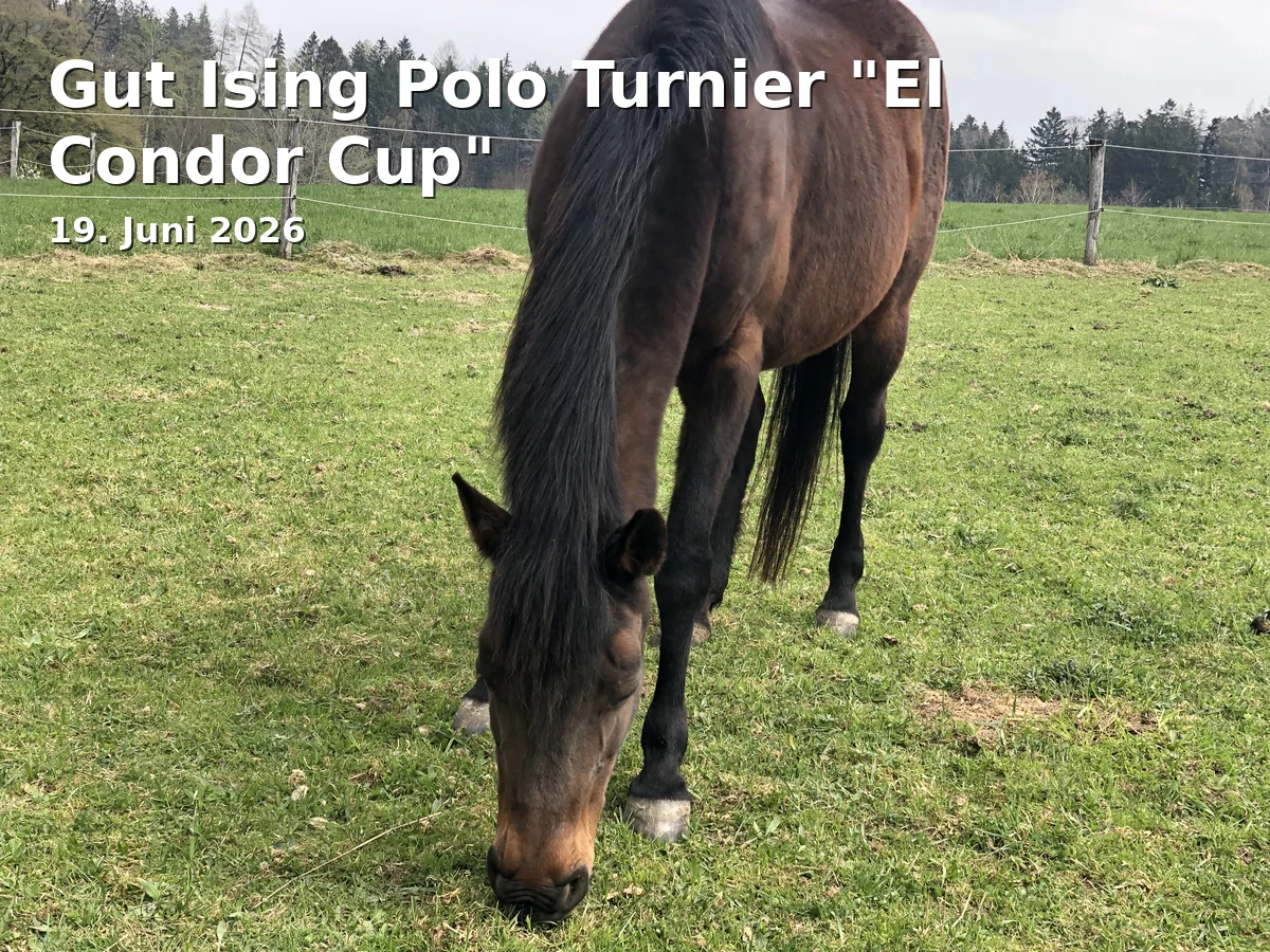 Gut Ising Polo Turnier "El Condor Cup"