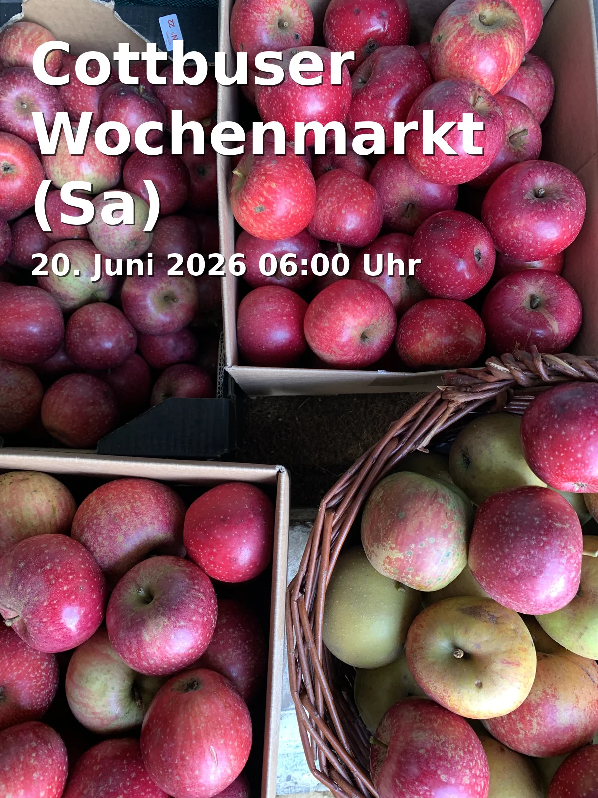 Event: Cottbuser Wochenmarkt (Sa) in Oberkirchplatz, 03046 Cottbus on 20. Juni 2026