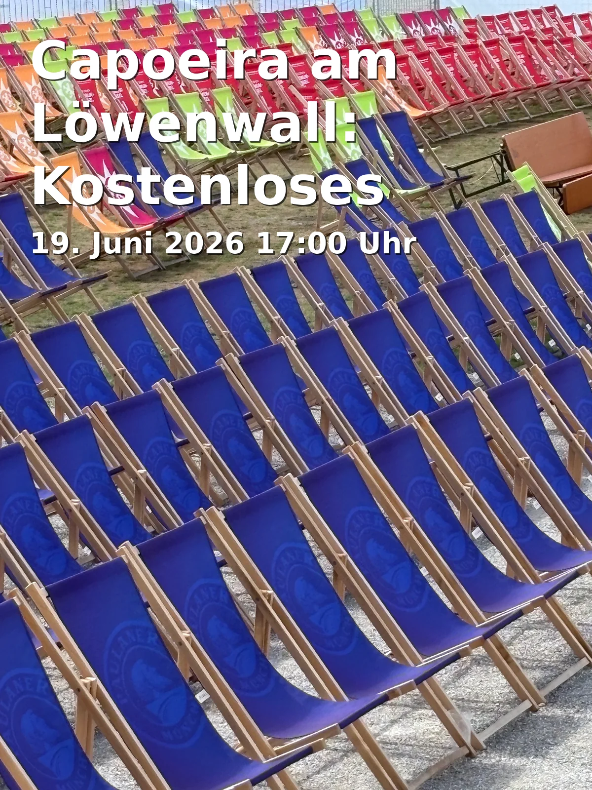 Capoeira am Löwenwall: Kostenloses Outdoor-Training im Herzen Braunschweigs