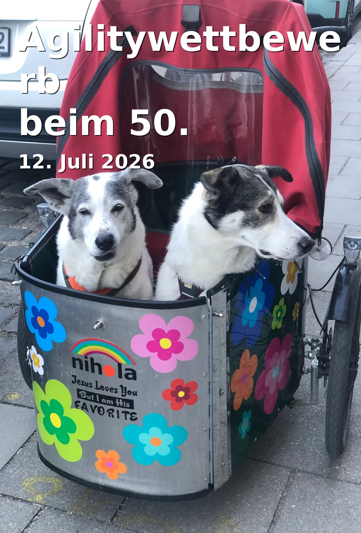 Event: Agilitywettbewerb beim 50. Jubiläumsfest des Tierheims in Tierheim Bielefeld, Kampstr. 132, 33659 Bielefeld on 12. Juli 2026