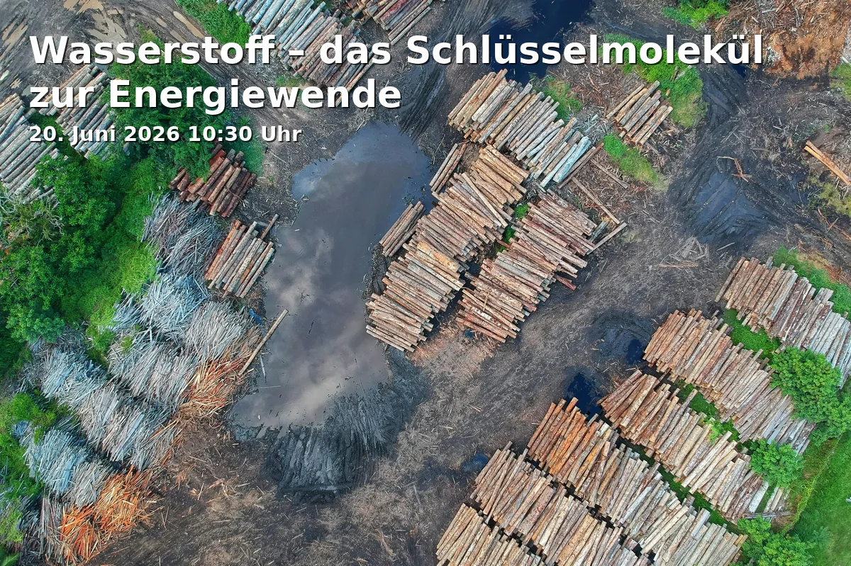 Event: Wasserstoff – das Schlüsselmolekül zur Energiewende in Universität Freiburg, KG I, Platz der Universität 3, 79098 Freiburg on 20. Juni 2026