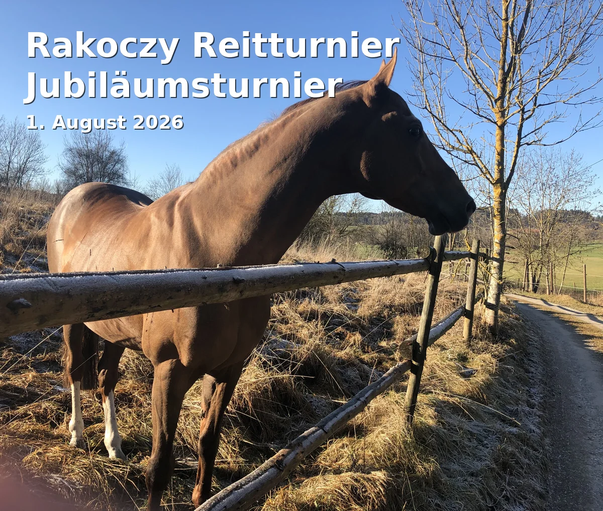 Event: Rakoczy Equestrian Tournament Anniversary Tournament in Turnierplatz in der Au, Bad Kissingen on 1. August 2026
