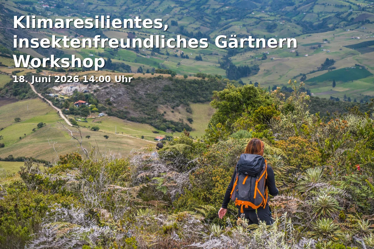 Event: Climate-Resilient, Insect-Friendly Gardening Workshop in Begegnungsstätte St. Aegidius und St. Jakob, Breite Straße 107a, 53111 Bonn on 18. June 2026