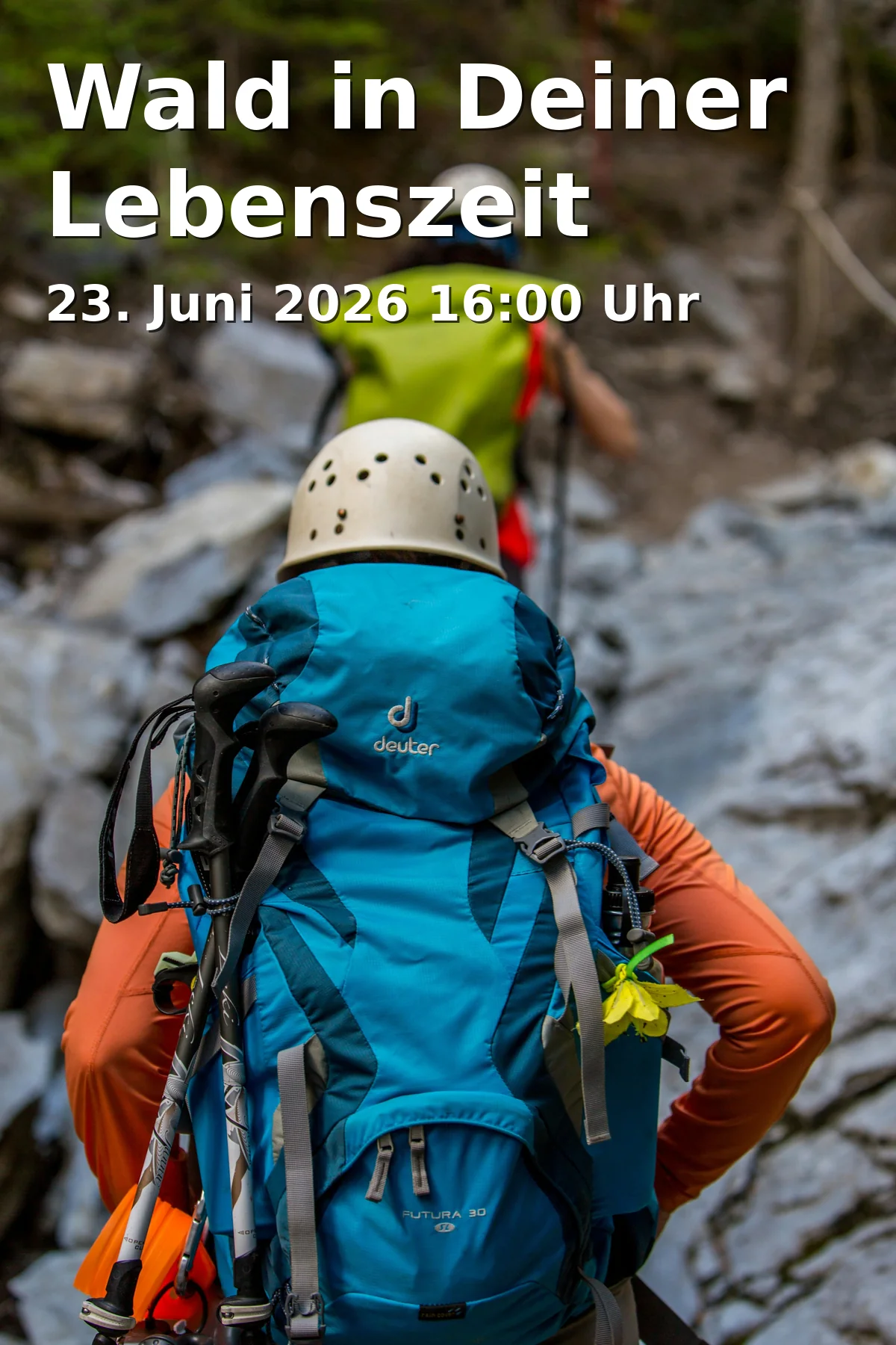 Event: Wald in Deiner Lebenszeit