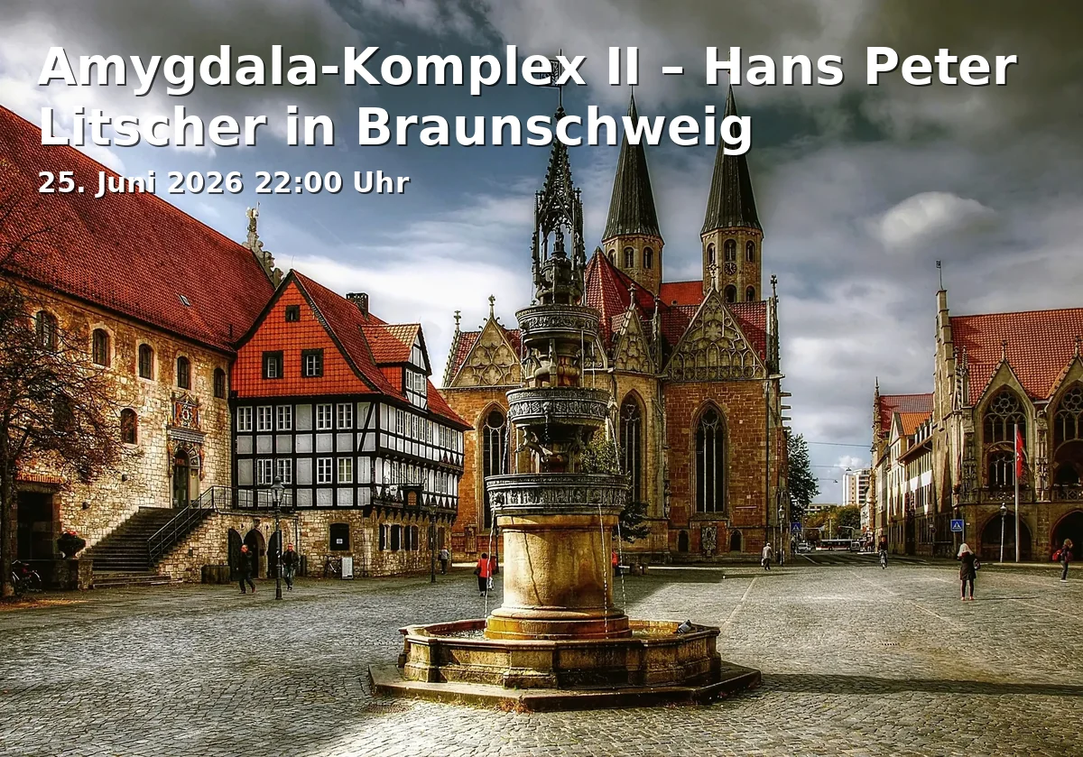 Amygdala Complex II – Hans Peter Litscher in Braunschweig