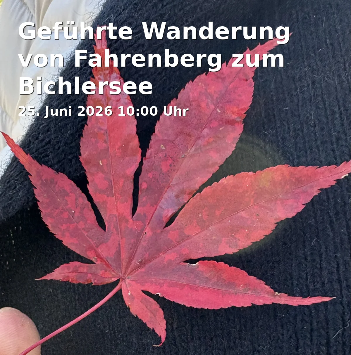 Event: Guided Hike from Fahrenberg to Bichlersee in Treffpunkt: Rathausplatz, Kufsteiner Straße 6, Oberaudorf on 25. June 2026