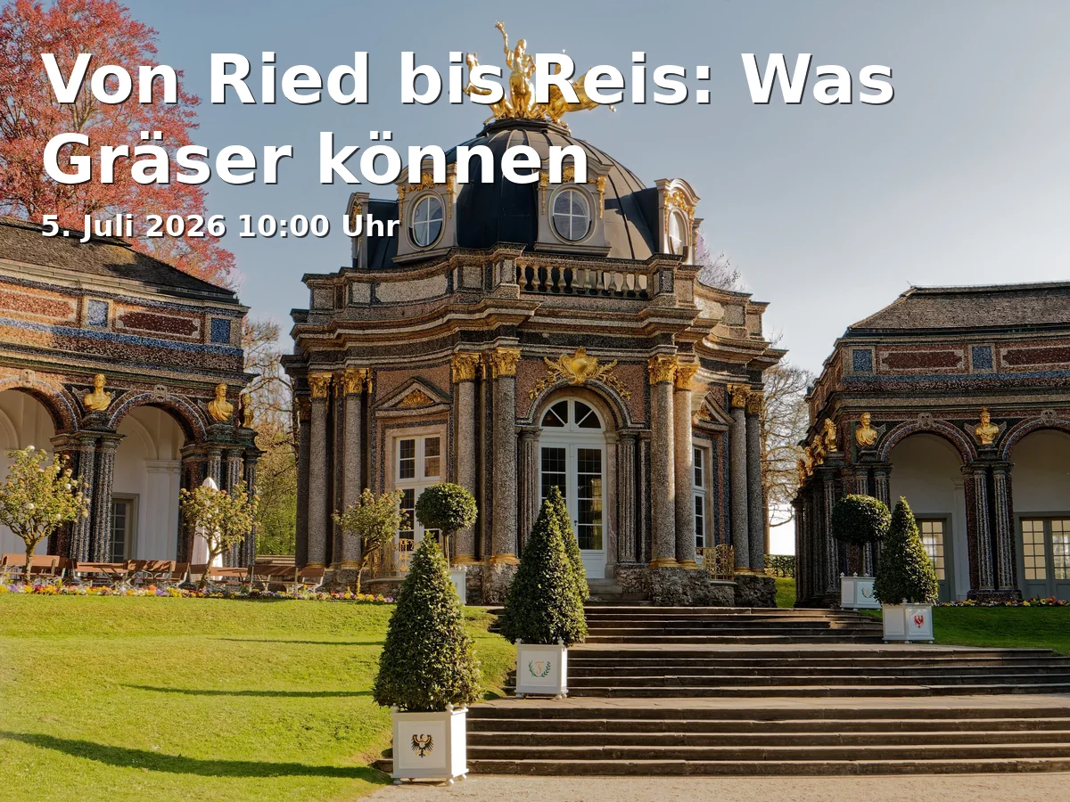 Event: Von Ried bis Reis: Was Gräser können in Ökologisch-Botanischer Garten (Universität Bayreuth), Freigelände, Universitätsstraße 30, 95447 Bayreuth on 5. Juli 2026