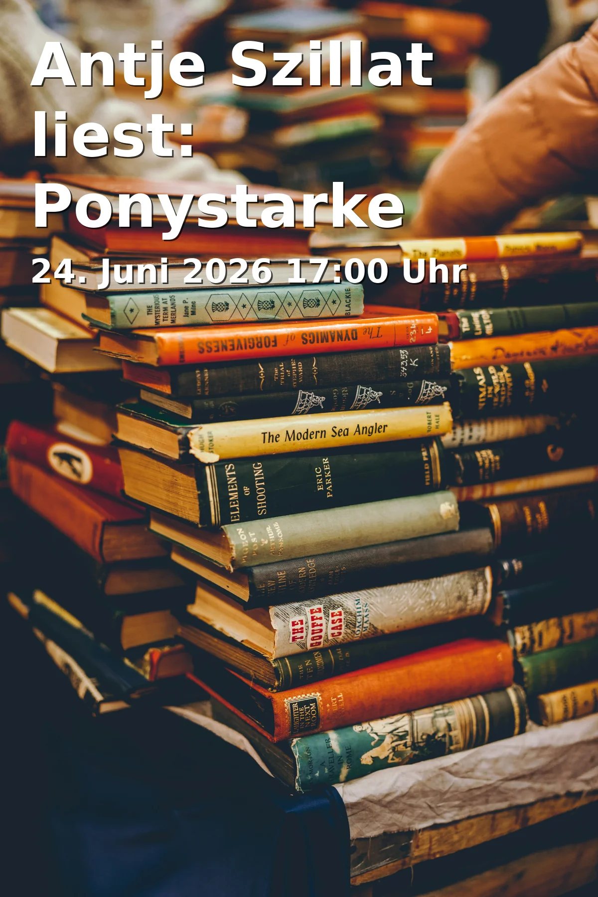 Antje Szillat liest: Ponystarke Ferien zur Eröffnung von Ferien am Bücherpool 2026