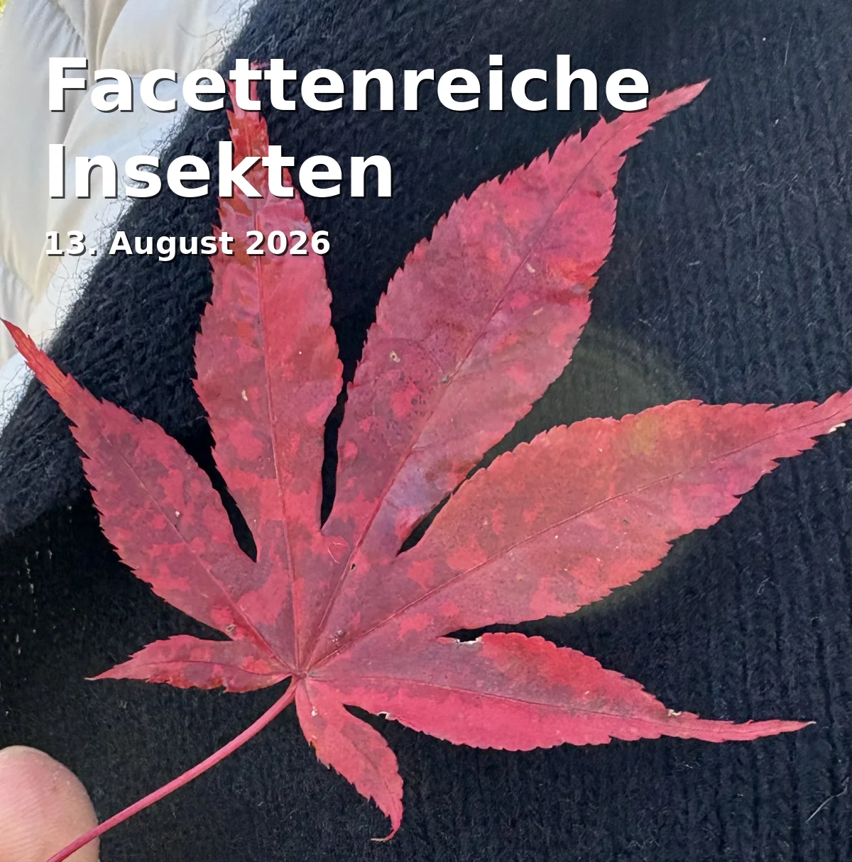 Event: Facettenreiche Insekten