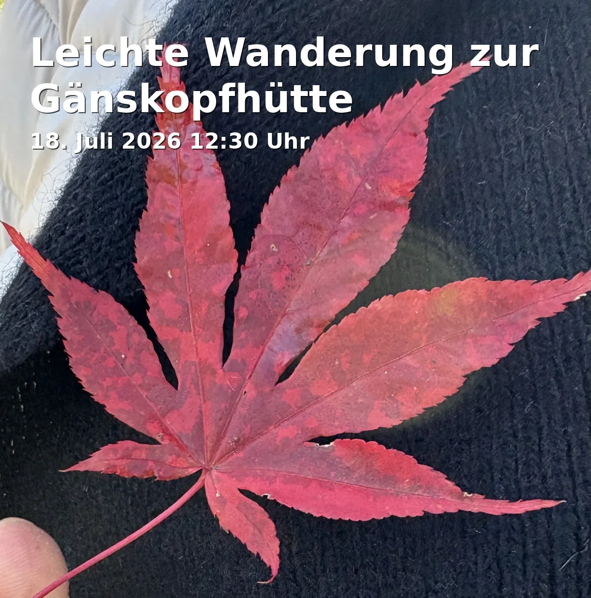 Event: Leichte Wanderung zur Gänskopfhütte