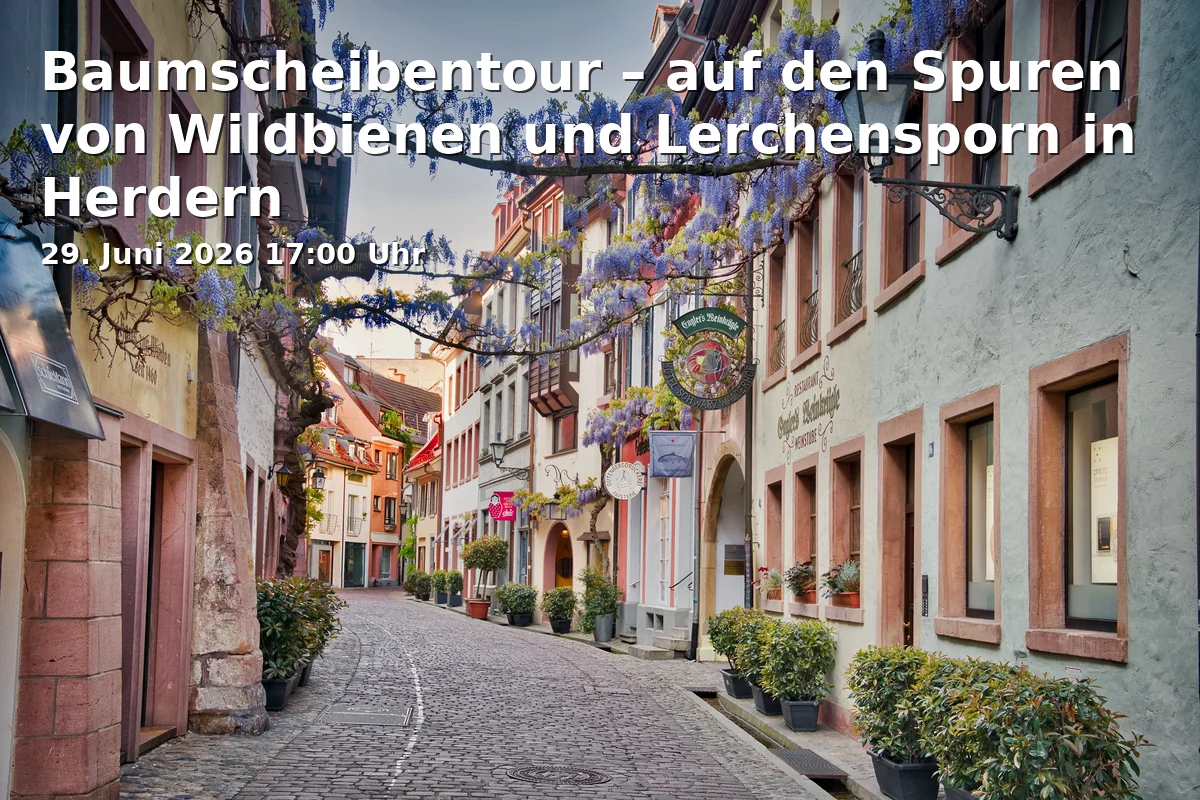 Baumscheibentour – auf den Spuren von Wildbienen und Lerchensporn in Herdern