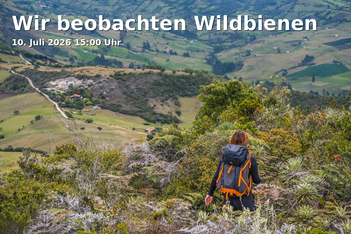Event: We Observe Wild Bees in Einschlingen, Schlingenstraße 65, 33649 Bielefeld on 10. July 2026