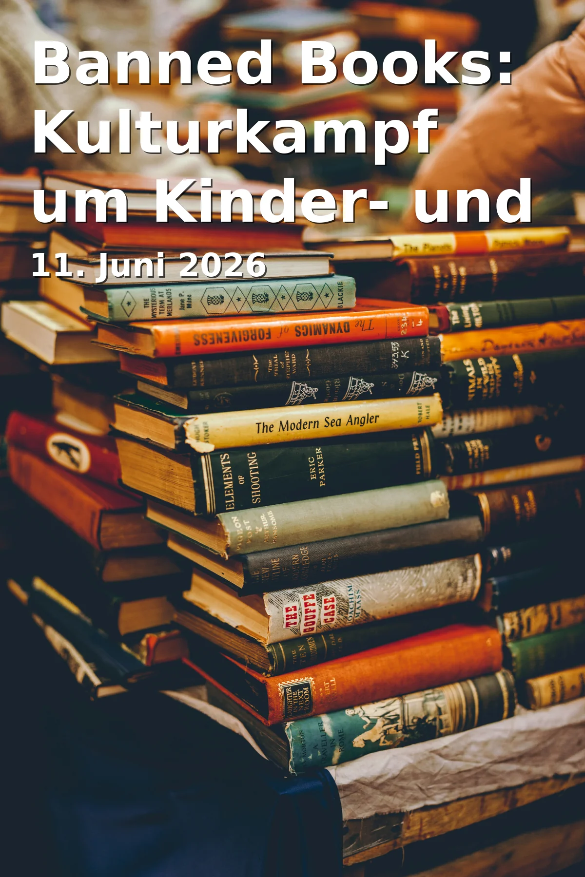 Event: Banned Books: Kulturkampf um Kinder- und Jugendbücher in den USA in Marktplatz 1, 91054 Erlangen on 11. Juni 2026