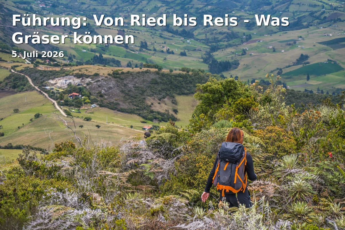 Führung: Von Ried bis Reis - Was Gräser können