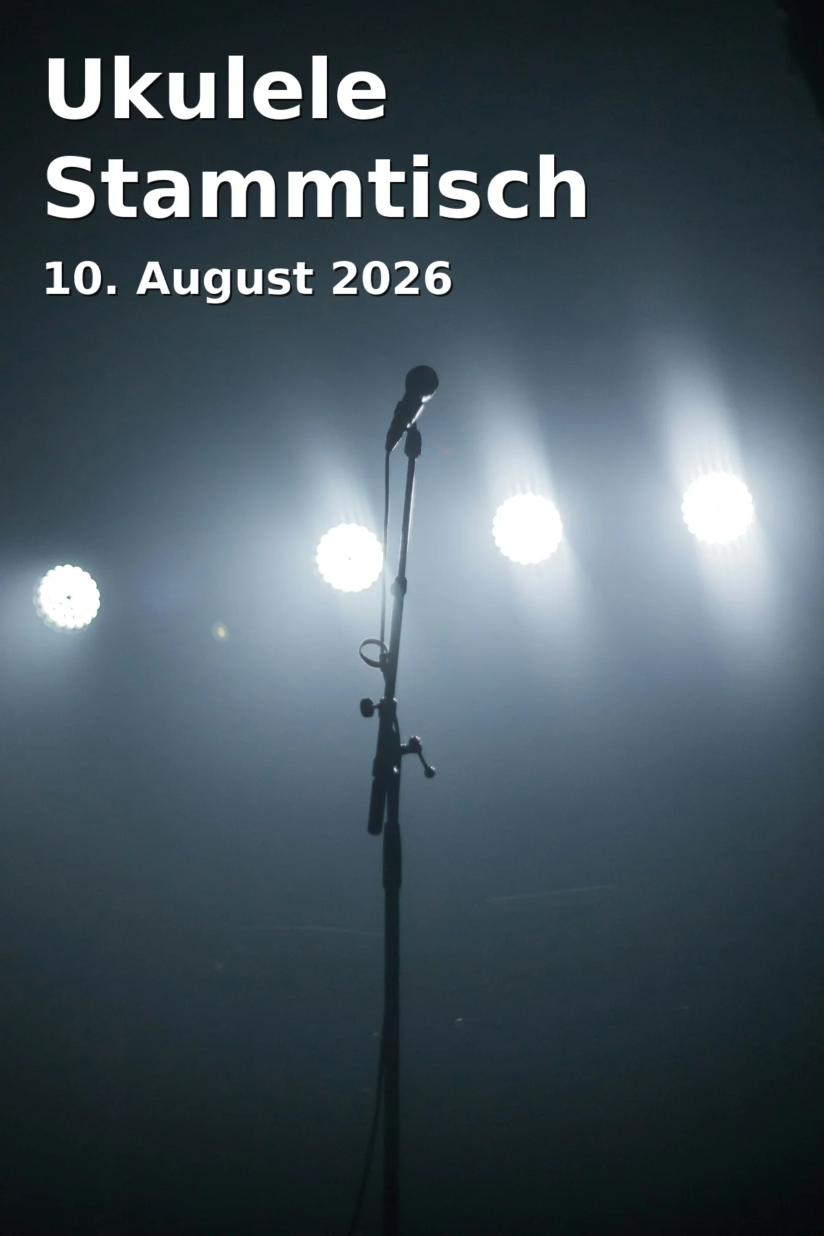 Event: Ukulele Meetup in Kir Royal, Fleischgasse 2, Weiden on 10. August 2026