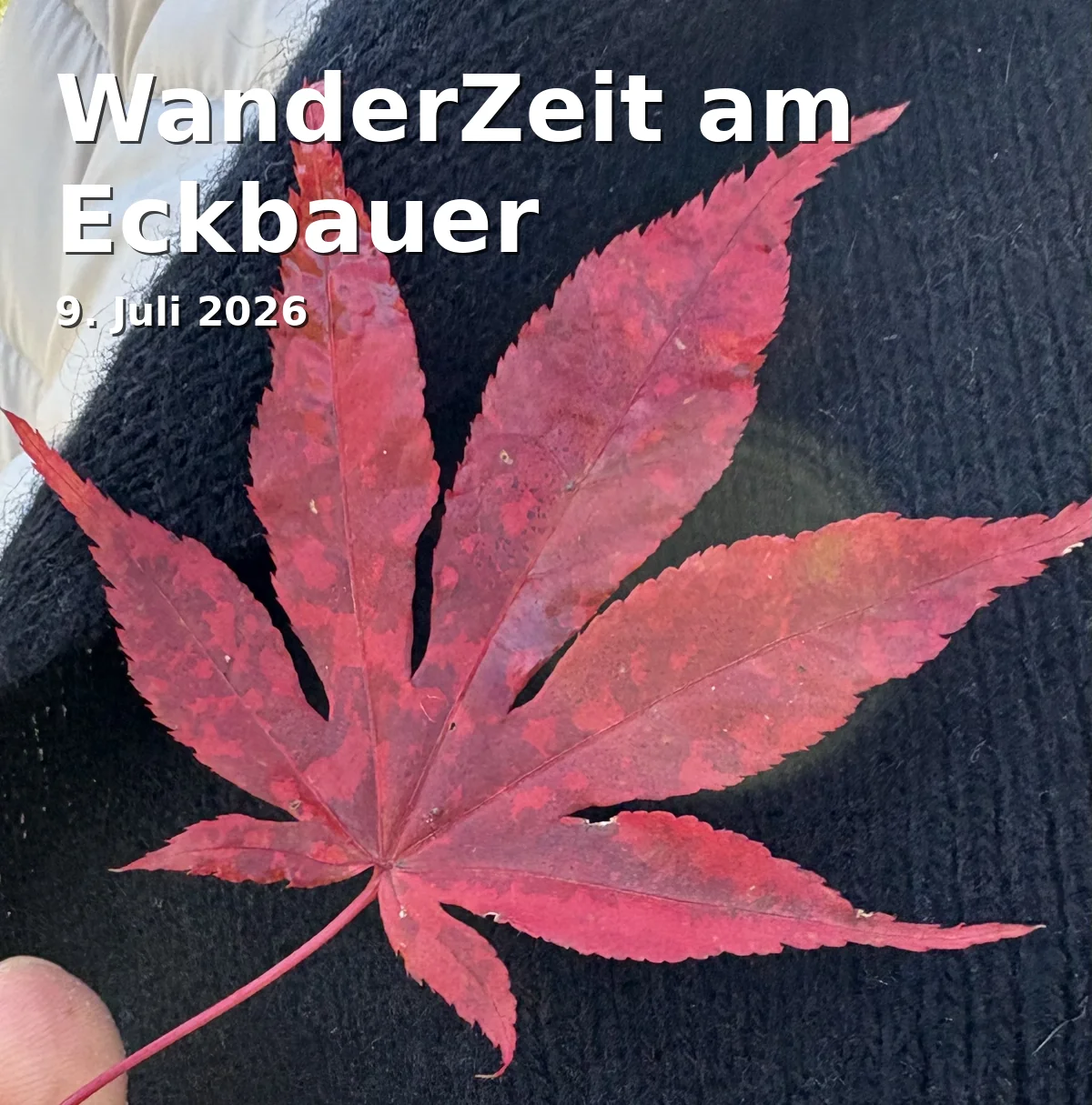 Event: Hiking Time at Eckbauer in Tourist Information, Richard-Strauss-Platz 1A, Garmisch-Partenkirchen on 9. July 2026