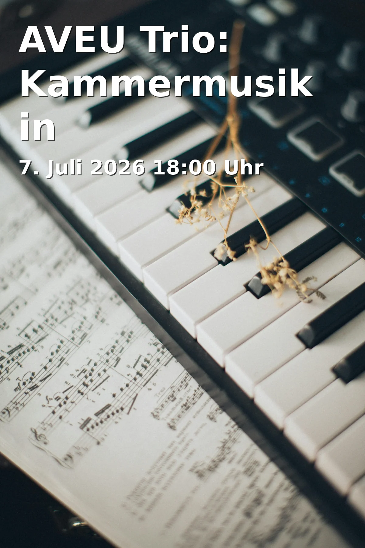 Event: AVEU Trio: Chamber Music in Braunschweig on July 7, 2026