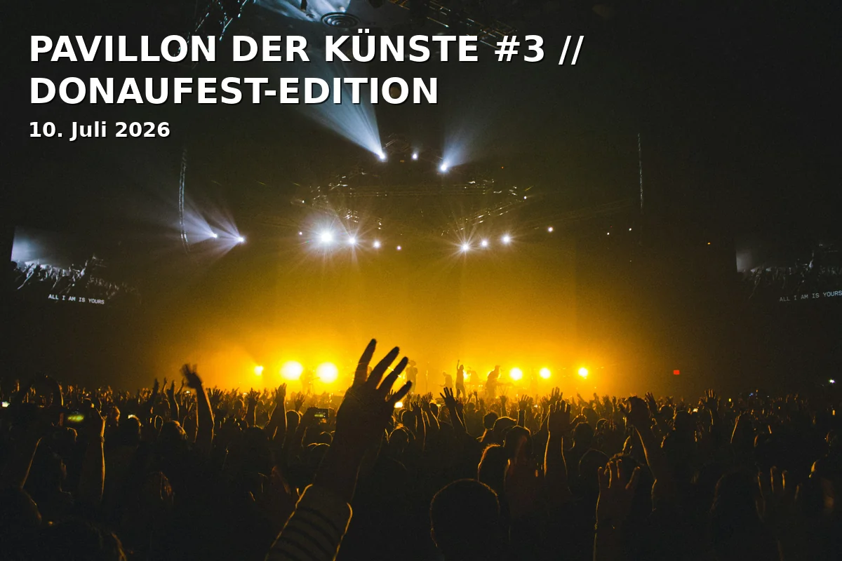 PAVILION OF THE ARTS #3 // DANUBE FESTIVAL EDITION
